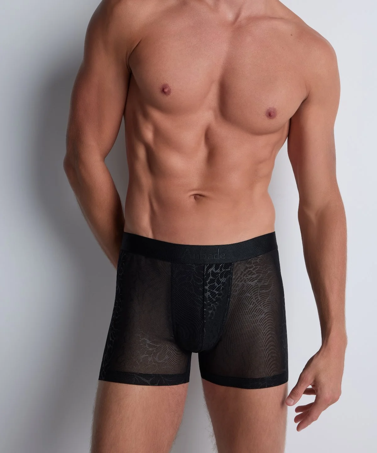 Aubade Homme Boxer homme Light Ink - Image 3